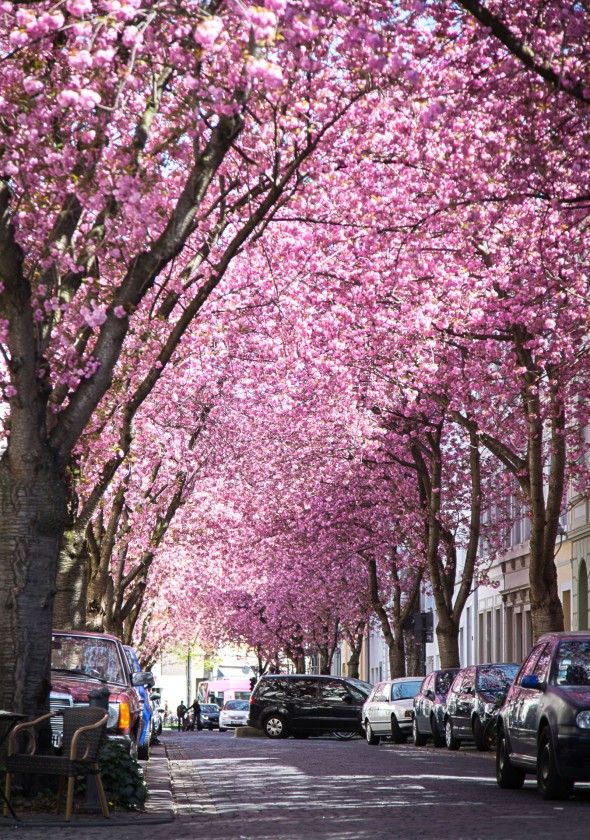 Heerstrasse III