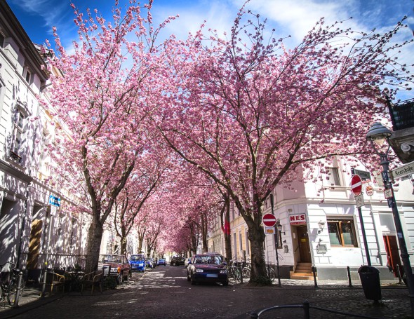 Heerstrasse IV