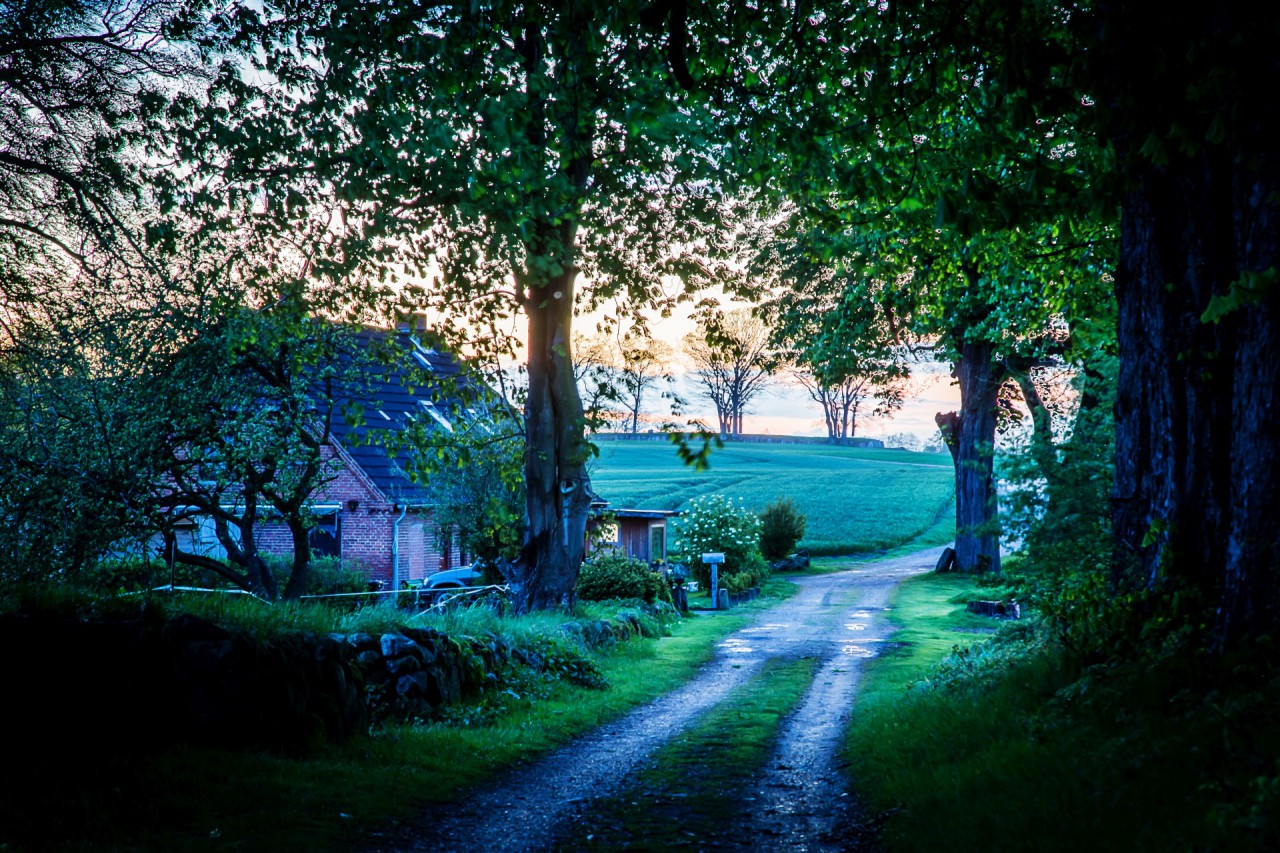 IMG_7399-HDR