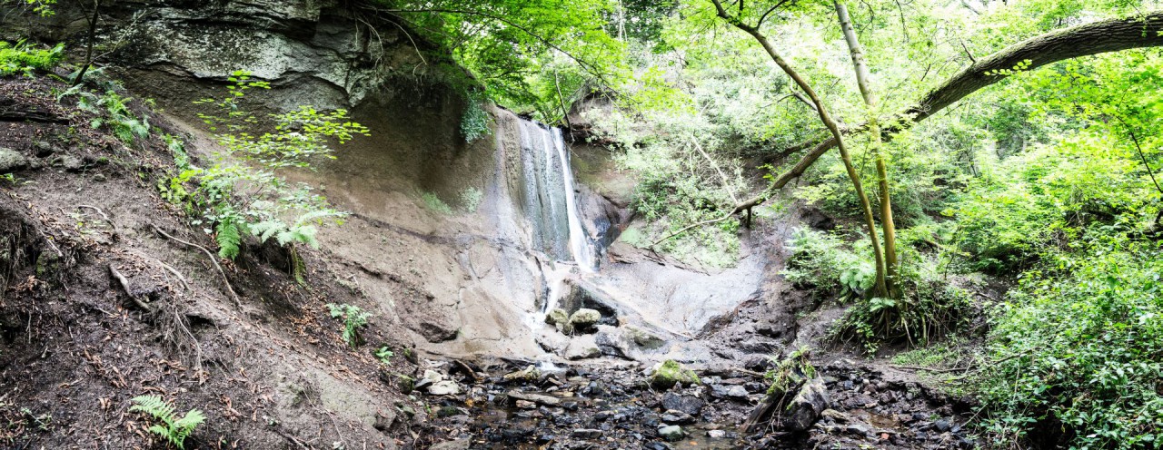 IMG_2643-Pano