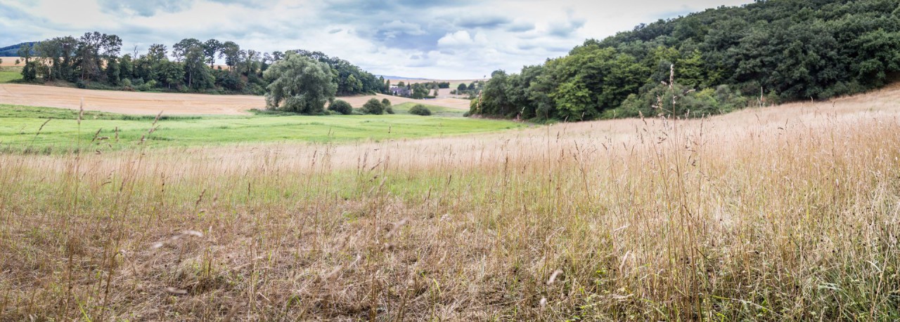 IMG_2662-Pano